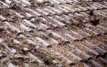 Mistley roof cleaning companies